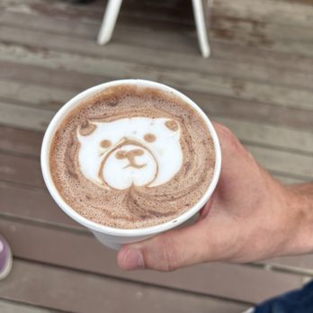 The Black Bear - Coffee - Coffee & Tea Near Me - Denali National Park, Alaska The Black Bear - Coffee - Coffee & Tea Near Me - Denali National Park, Alaska