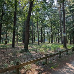 Bliss Park