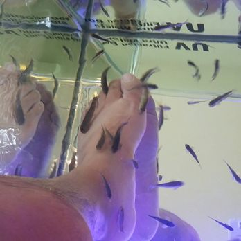 Sun Palace Spa & Salon - Fish spa treatment! - Day Spas Near Me - Cancún, ROO