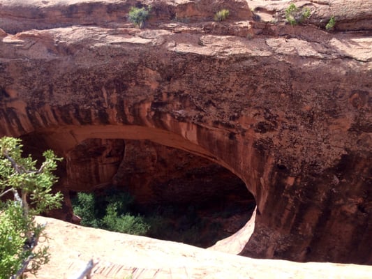 Moab Desert Adventures by null