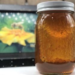 Bee Natural - 24oz Chunk Honey...DELISH