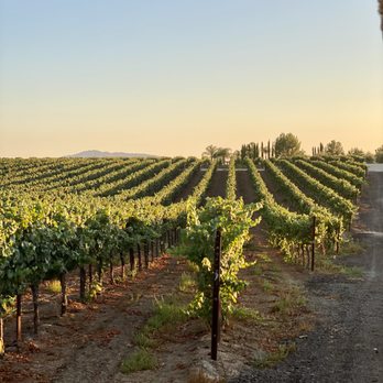 Temecula Carriage Company - undefined - Wine Tours Near Me - Temecula, California Temecula Carriage Company - undefined - Wine Tours Near Me - Temecula, California