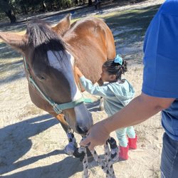 Pony Party Rentals
