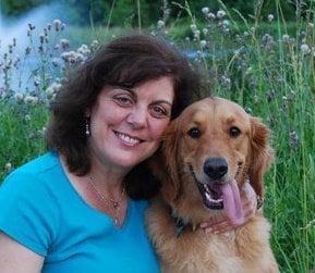 Fetch! Pet Care Image