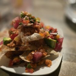 Fighting Fish - Tuna tacos. Yum! Spicy.