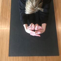 The Yoga Circle