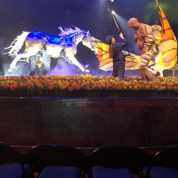 Luzia By Cirque Du Soleil - Performing Arts Near Me - Tysons, Virginia Luzia By Cirque Du Soleil - Performing Arts Near Me - Tysons, Virginia
