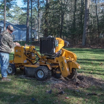 Berlin Stump Grinding - Fast. Reliable. Affordable. - Tree Services Near Me Berlin Stump Grinding - Fast. Reliable. Affordable. - Tree Services Near Me
