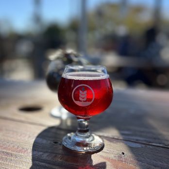 Pure Project - Carlsbad - Everything Gold May Stay - Breweries Near Me - Carlsbad, California Pure Project - Carlsbad - Everything Gold May Stay - Breweries Near Me - Carlsbad, California