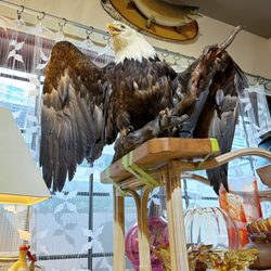 Artista Art & Antiques - Yeah thats what you think it is