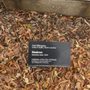 Photo of Hedron Sculpture