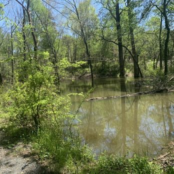 Rock Creek Park - Water reservoir - Parks Near Me - Albemarle, North Carolina Rock Creek Park - Water reservoir - Parks Near Me - Albemarle, North Carolina