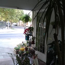 La Boutique de las Plantas - Vivero