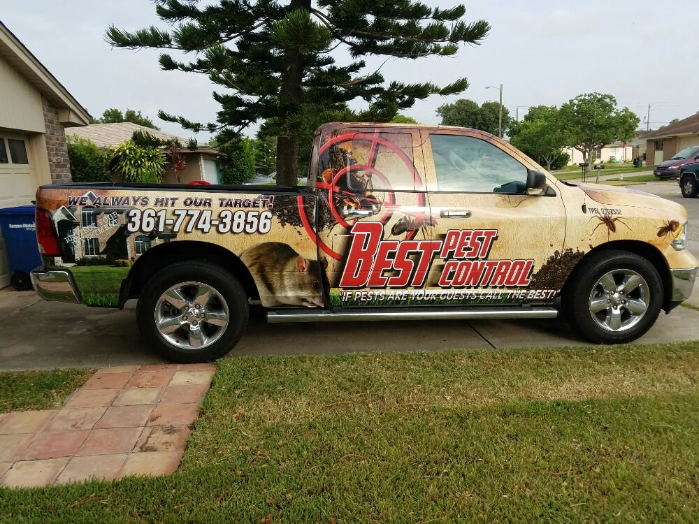 BEST PEST CONTROL Updated October 2024 Corpus Christi, Texas Pest