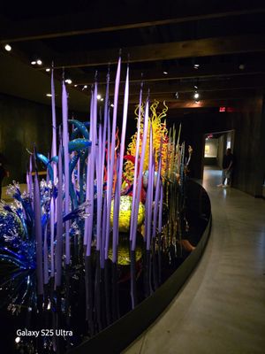 Chihuly Collection by null