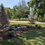 Photo of Manuel Ruiz Landscaping
