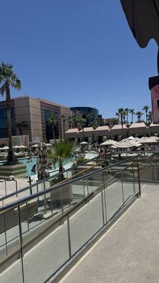 Palm Tree Beach Club by null