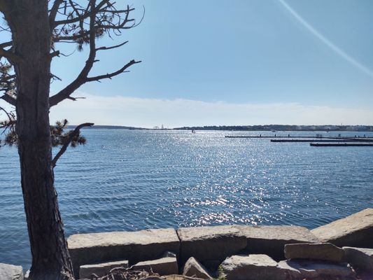 Eastern Promenade Trail by null