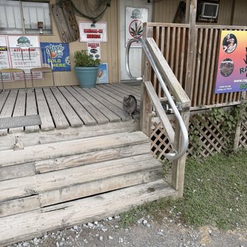 Ragin Cajun Airboat Tours - Guard cat on the porch - Boat Tours Near Me - Luling, Louisiana Ragin Cajun Airboat Tours - Guard cat on the porch - Boat Tours Near Me - Luling, Louisiana