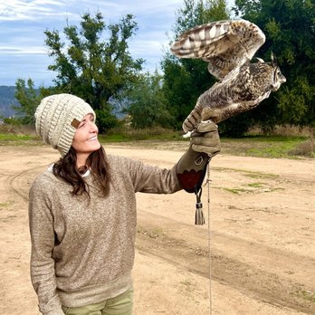 Sky Falconry - Specialty Schools Near Me - Alpine, California Sky Falconry - Specialty Schools Near Me - Alpine, California