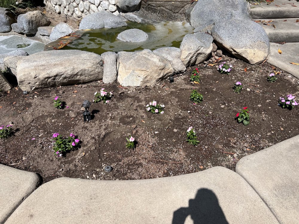 THE STANDARD DESIGN GROUP NURSERIES Updated July 2024 11 Photos