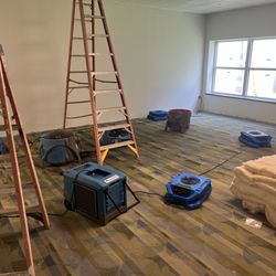 Bingham Restoration