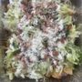 Photo of Eva's Tacos