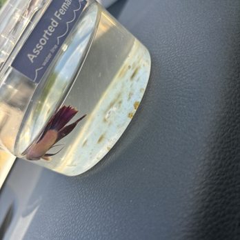 Petco - Poor betta - Pet Training Near Me - Cordova, Tennessee Petco - Poor betta - Pet Training Near Me - Cordova, Tennessee