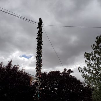 Shoe Tree - Local Flavor Near Me - Albuquerque, New Mexico