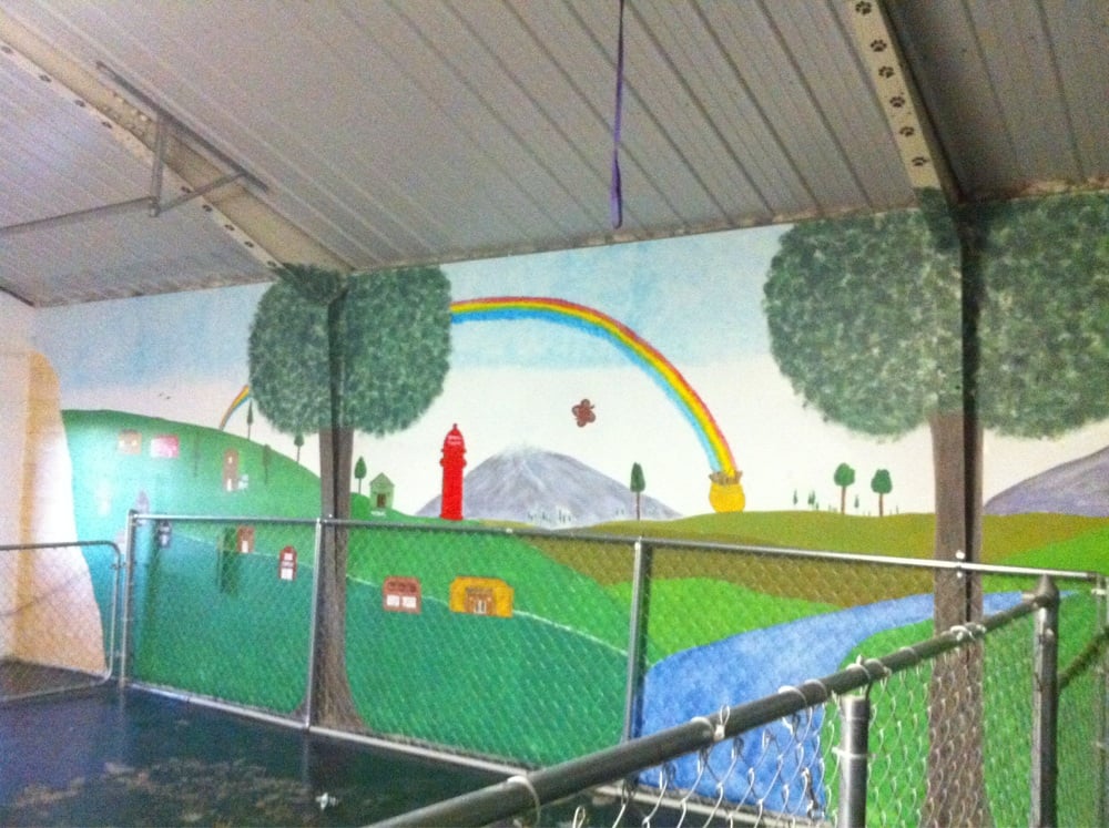 BEAR CREEK KENNELS Updated October 2024 12 Reviews 2009 Eastwood