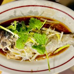 Hot Wok Cafe - Steamed sea bass