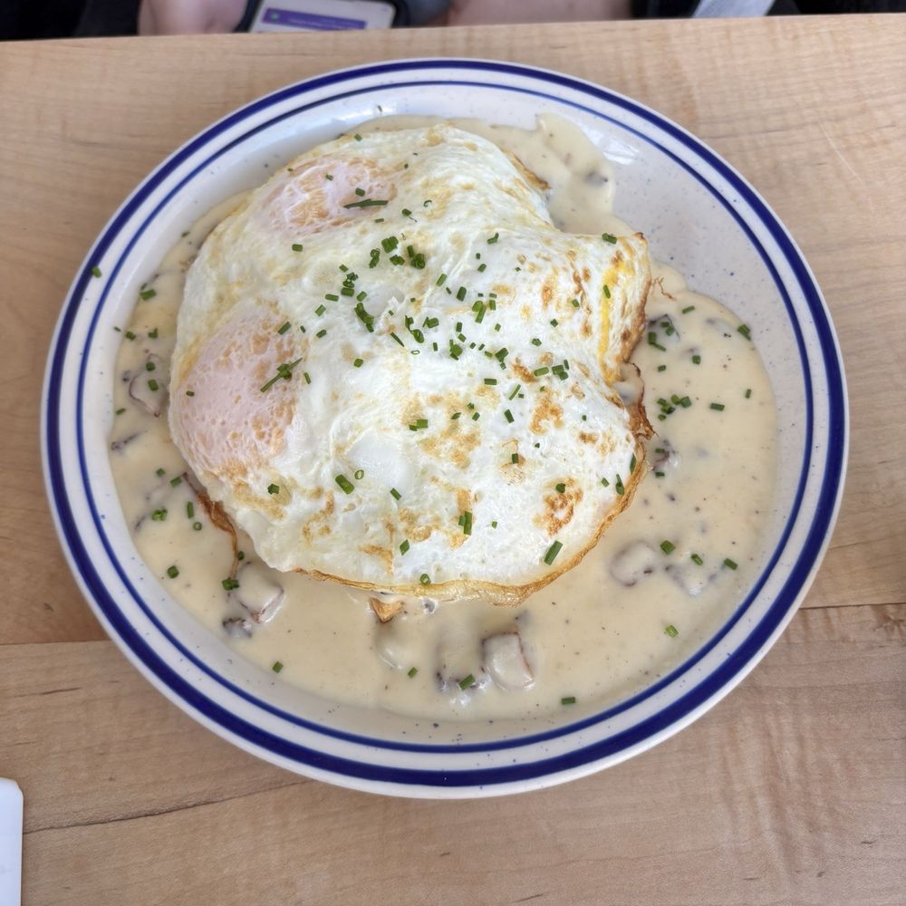 Dollop Diner - Breakfast & Brunch Near Me - Chicago, Illinois Dollop Diner - Breakfast & Brunch Near Me - Chicago, Illinois