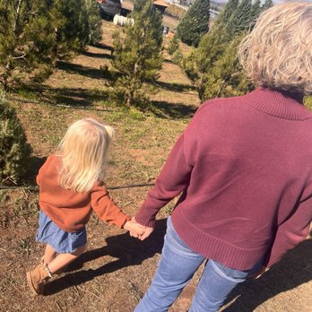 Highland Valley Christmas Tree Farm - Selection of trees - Christmas Trees Near Me - Ramona, California