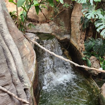Lincoln Park Zoo - Zoos Near Me - Chicago, Illinois Lincoln Park Zoo - Zoos Near Me - Chicago, Illinois