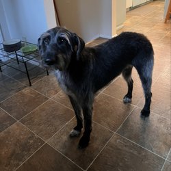 Wilco Farm Store - Springfield - Ethel, looking pretty cute!
