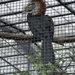 香港動植物公園