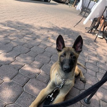 Drake Downtown Bend - Outdoor dining so little man Cairo could join us table side. - New American Near Me - Bend, Oregon Drake Downtown Bend - Outdoor dining so little man Cairo could join us table side. - New American Near Me - Bend, Oregon