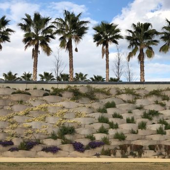 Parque Central - Sports Clubs Near Me - Valencia, V