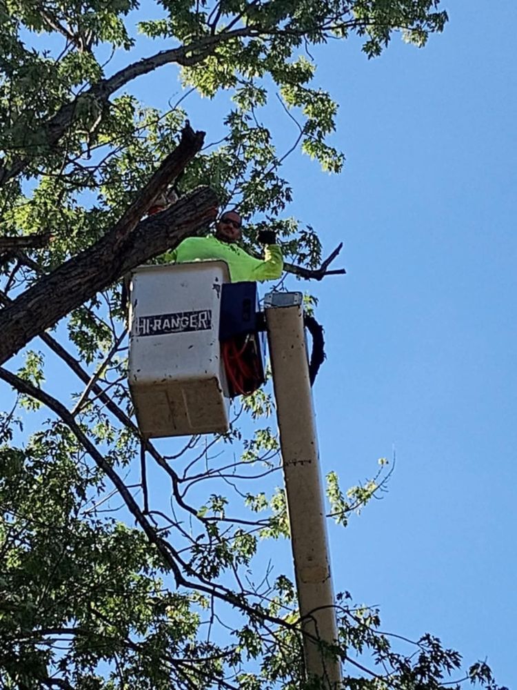 SJH Family Tree Service - tree service in Fort Wayne, IN