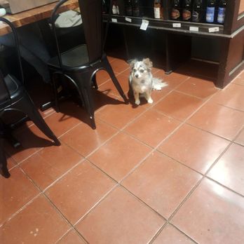 Monopole by WineRx - Cute Lil friend named zena - Beer, Wine & Spirits Near Me - Pasadena, California Monopole by WineRx - Cute Lil friend named zena - Beer, Wine & Spirits Near Me - Pasadena, California