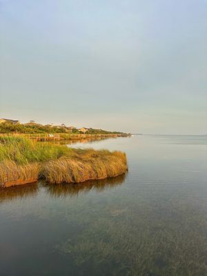 The Paper Canoe by null