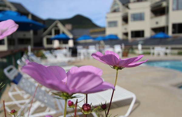 The Mountain Club on Loon - Loon Mountain Condo Resort by null