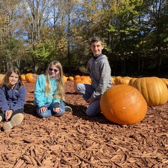 Burt's Farm - Huge pumpkins - Pumpkin Patches Near Me - Dawsonville, Georgia Burt's Farm - Huge pumpkins - Pumpkin Patches Near Me - Dawsonville, Georgia