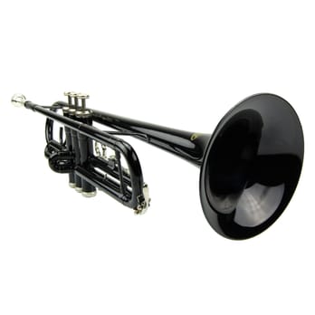 Merano Musical Instruments - Trumpet - Musical Instruments & Teachers Near Me - El Monte, California