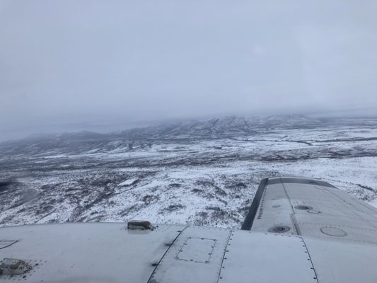 Northern Alaska Tour Company by null