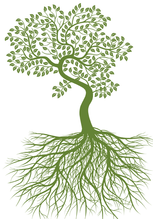 Cranbrook General Underwriters