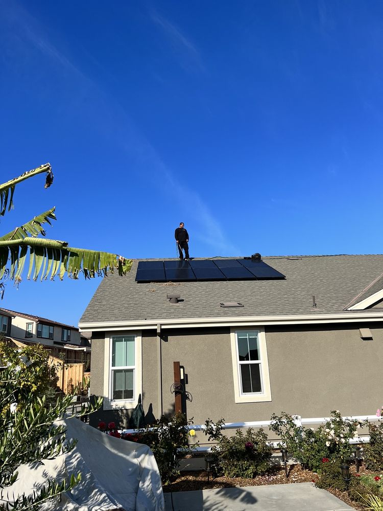 PROSOL SOLAR PANEL CLEANING & PIGEON CONTROL Updated July 2024 393