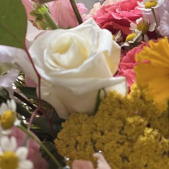 Soul's Greenhouse - Beauty from every angle - Florists Near Me - Fox River Grove, Illinois Soul's Greenhouse - Beauty from every angle - Florists Near Me - Fox River Grove, Illinois