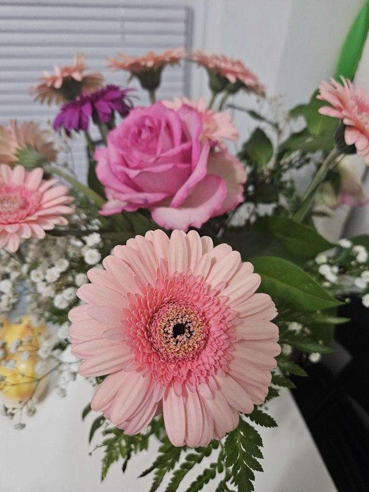 JASMINE FLORIST Updated August 2024 106 Photos 1286 Saint