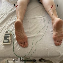 Naghmeh Mirhosseini, ND - Acupuncture